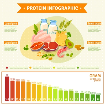 Informative poster on protein rich healthy nutrition with text diagram and infographic elements flat abstract vector illustration