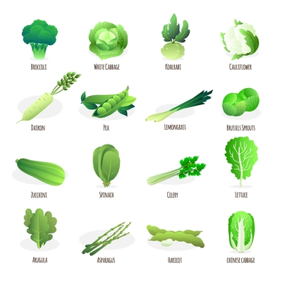 Green vegetables flat icons collection with broccoli spinach pea pod cabbage and celery abstract isolated vector illustration