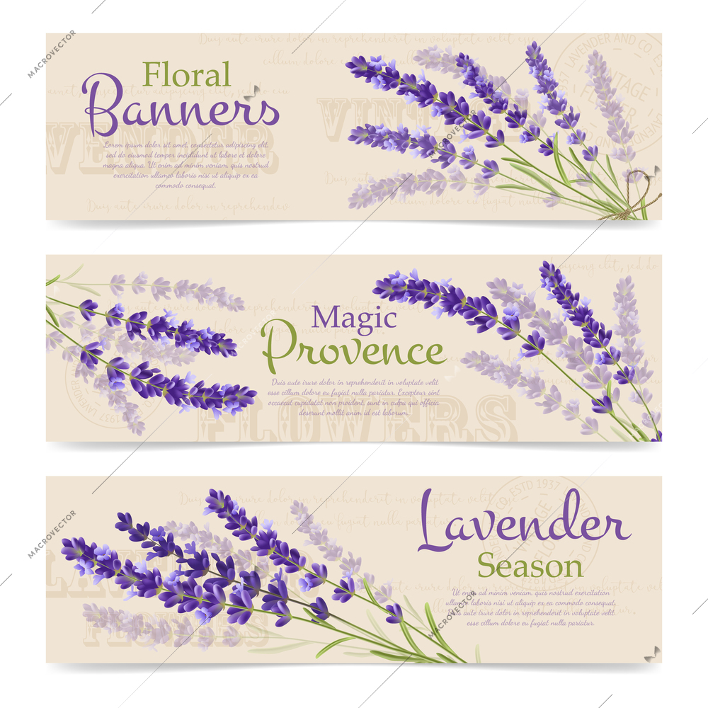 Advertising horizontal banners floral provence and seasons with branch of lavender flowers on seamless background vector illustration