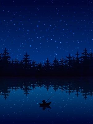 Fishing at night near a forest with boat and rod flat vector illustration