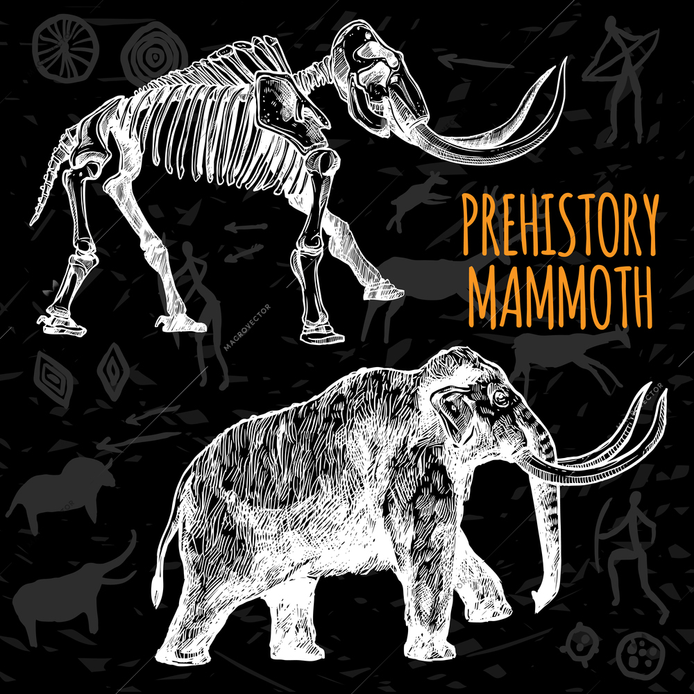 Sketch hand drawn mammoth and its skeleton chalkboard on dark background with rock paintings isolated vector illustration
