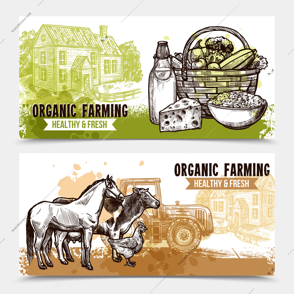 Organic farming horizontal banners with healthy and fresh food farmhouse and farm animals on white background sketch hand drawn isolated vector illustration