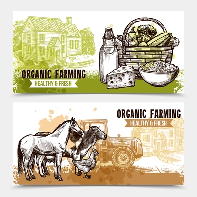 Organic farming horizontal banners with healthy and fresh food farmhouse and farm animals on white background sketch hand drawn isolated vector illustration