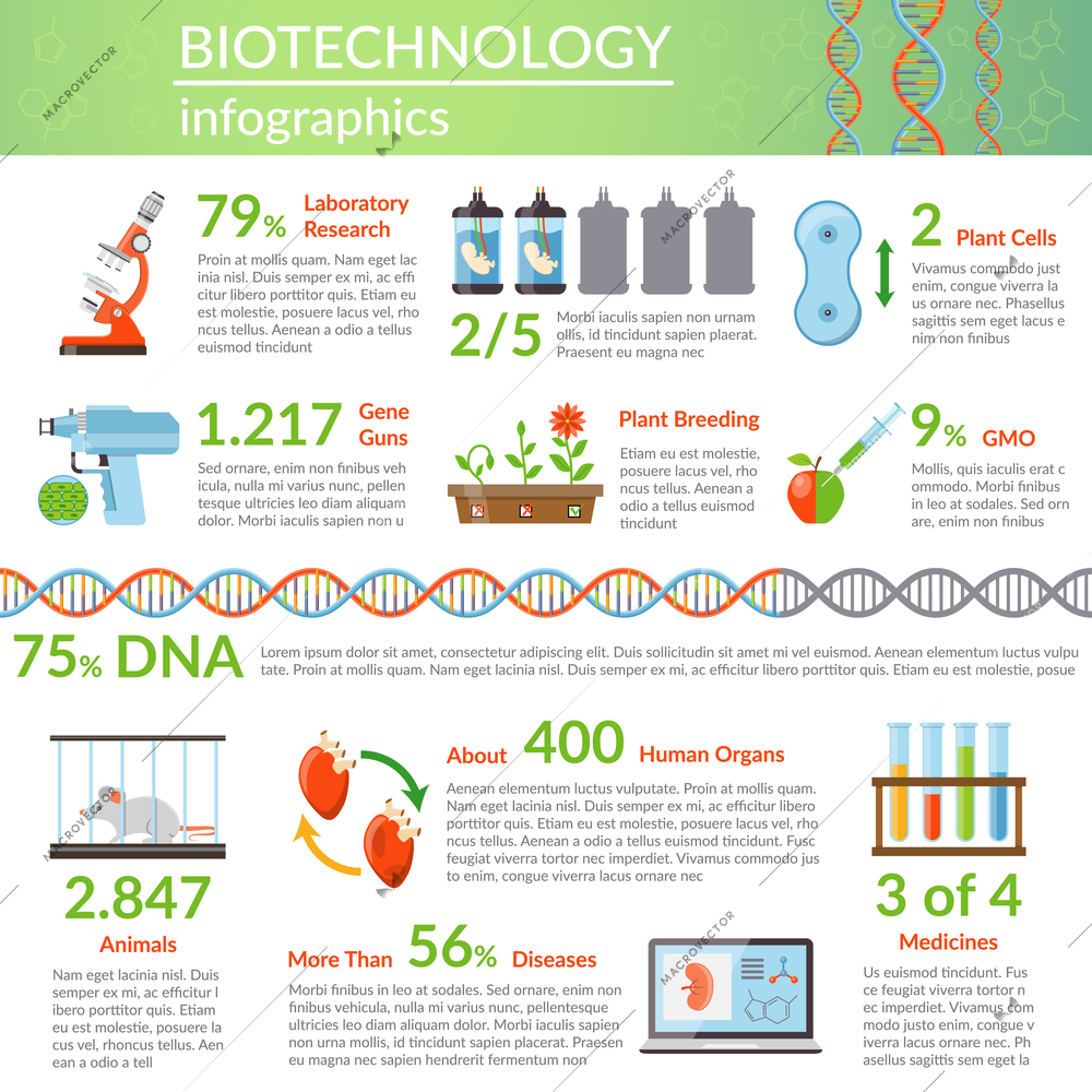 Biotechnology infographics layout with information about research in medicine genetic engineering plant breeding flat vector illustration