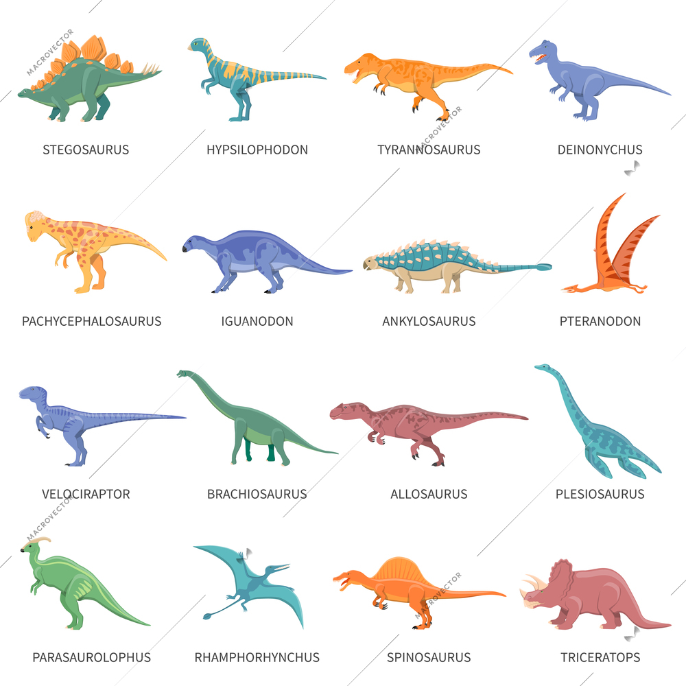 Colored isolated icons set of different types of dinosaurs in cartoon style with name of class or kind flat vector illustration