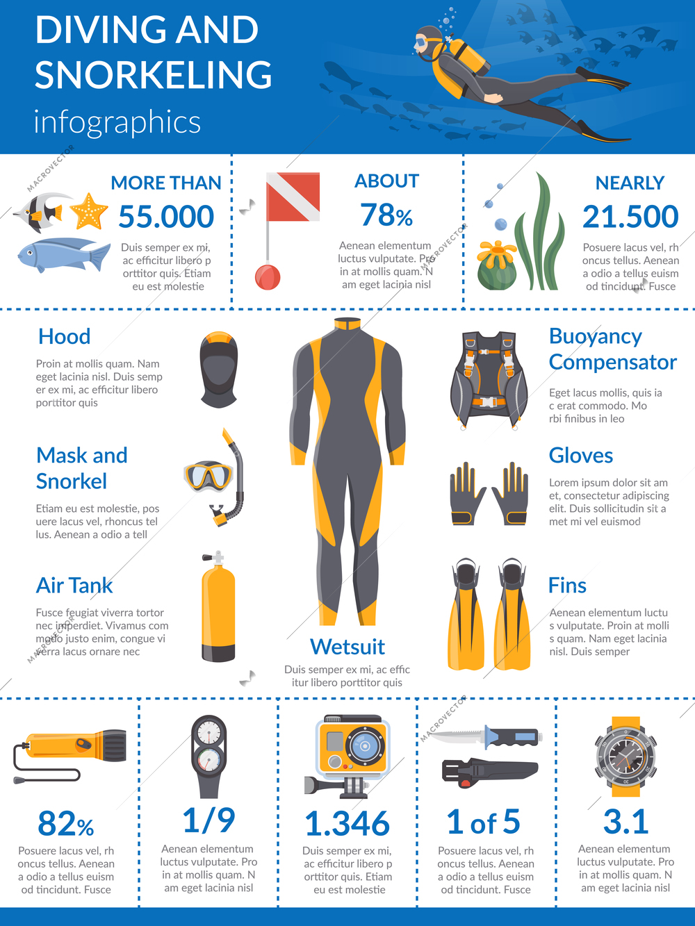 Diving and snorkeling infographics layout with presentation equipment such as wetsuit buoyancy compensator oxygen tanks flat vector illustration