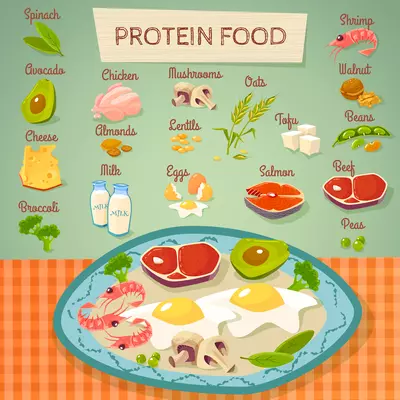 Protein rich food flat poster with meat eggs dairy and vegetables raw and cooked abstract vector illustration