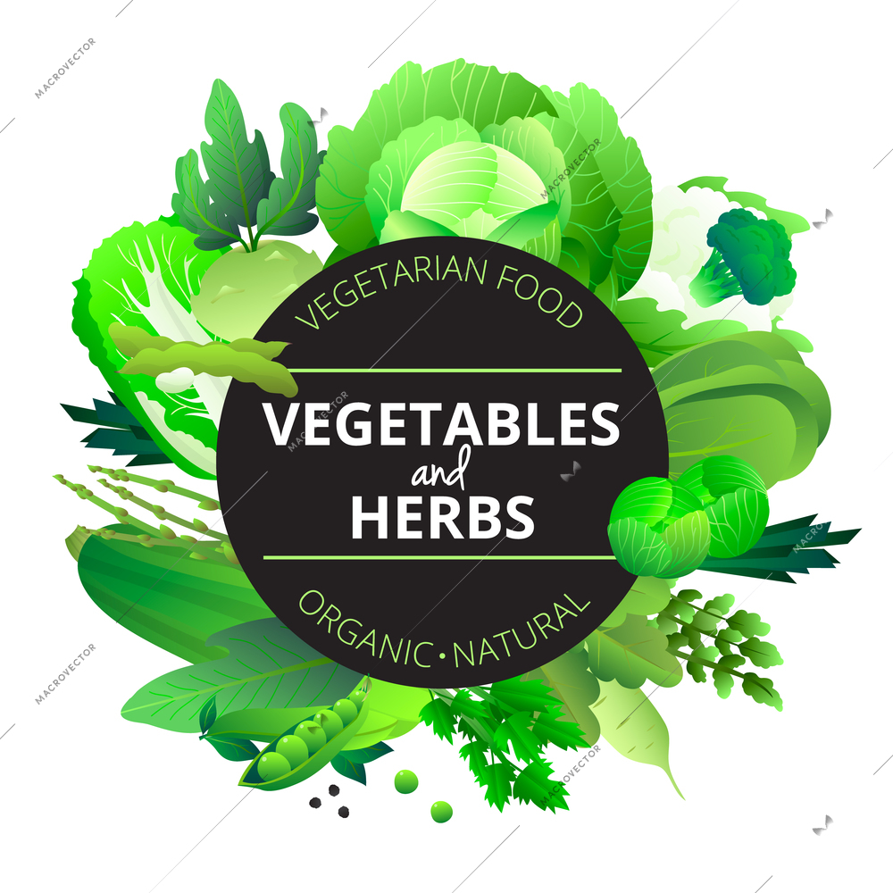 Natural organic vegetables and herbs round frame with cabbage courgette celery and pea green abstract vector illustration