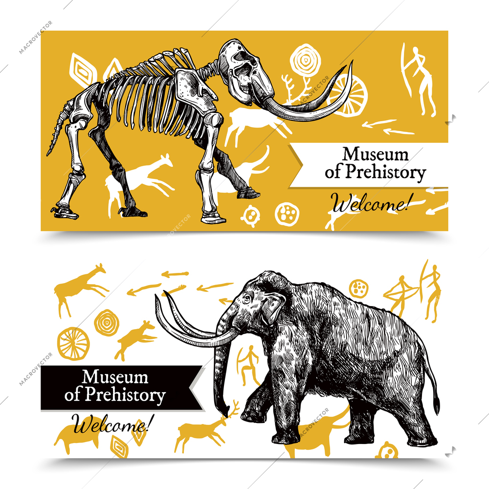 Horizontal welcome to museum of prehistory banners with sketch hand drawn mammoth and its skeleton on background with rock paintings isolated vector illustration