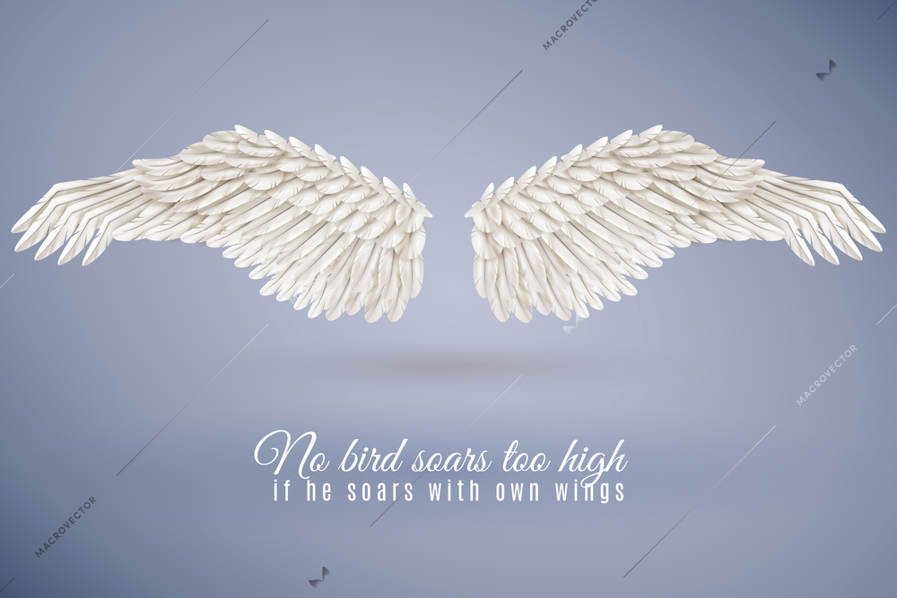 Pair of big realistic white bird wings set in middle isolated on blue background with quotation vector illustration