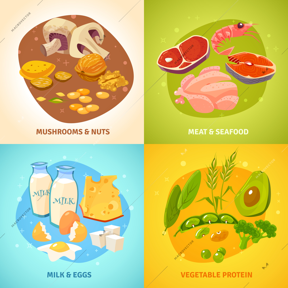 Protein rich food concept 4 flat icons square banner with dairy products meet poultry abstract isolated vector illustration