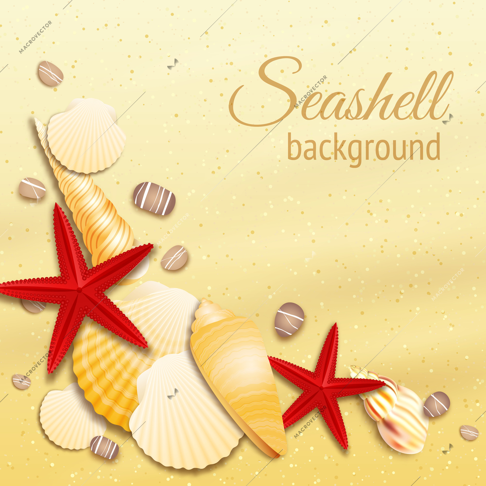 Seashell on the golden sand summer beach background vector illustration