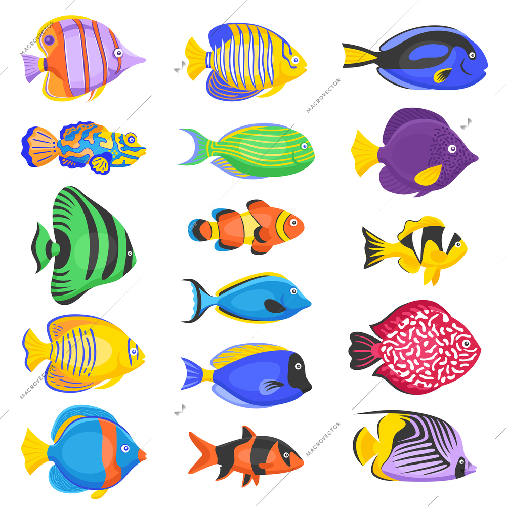 Exotic tropical fish set in different shapes and colors flat isolated vector illustration