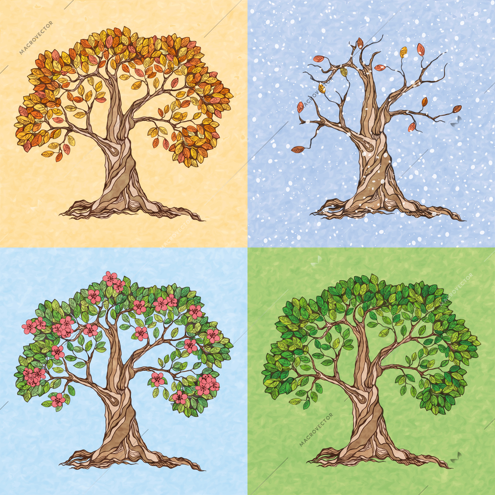 Four seasons summer autumn winter spring  tree wallpaper vector illustration