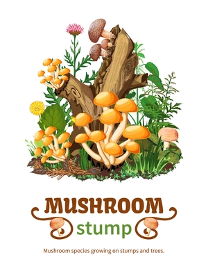 Vector illustration of wild mushroom species growing on stumps and trees with honey fungus shiitake and forest flowers in cartoon style