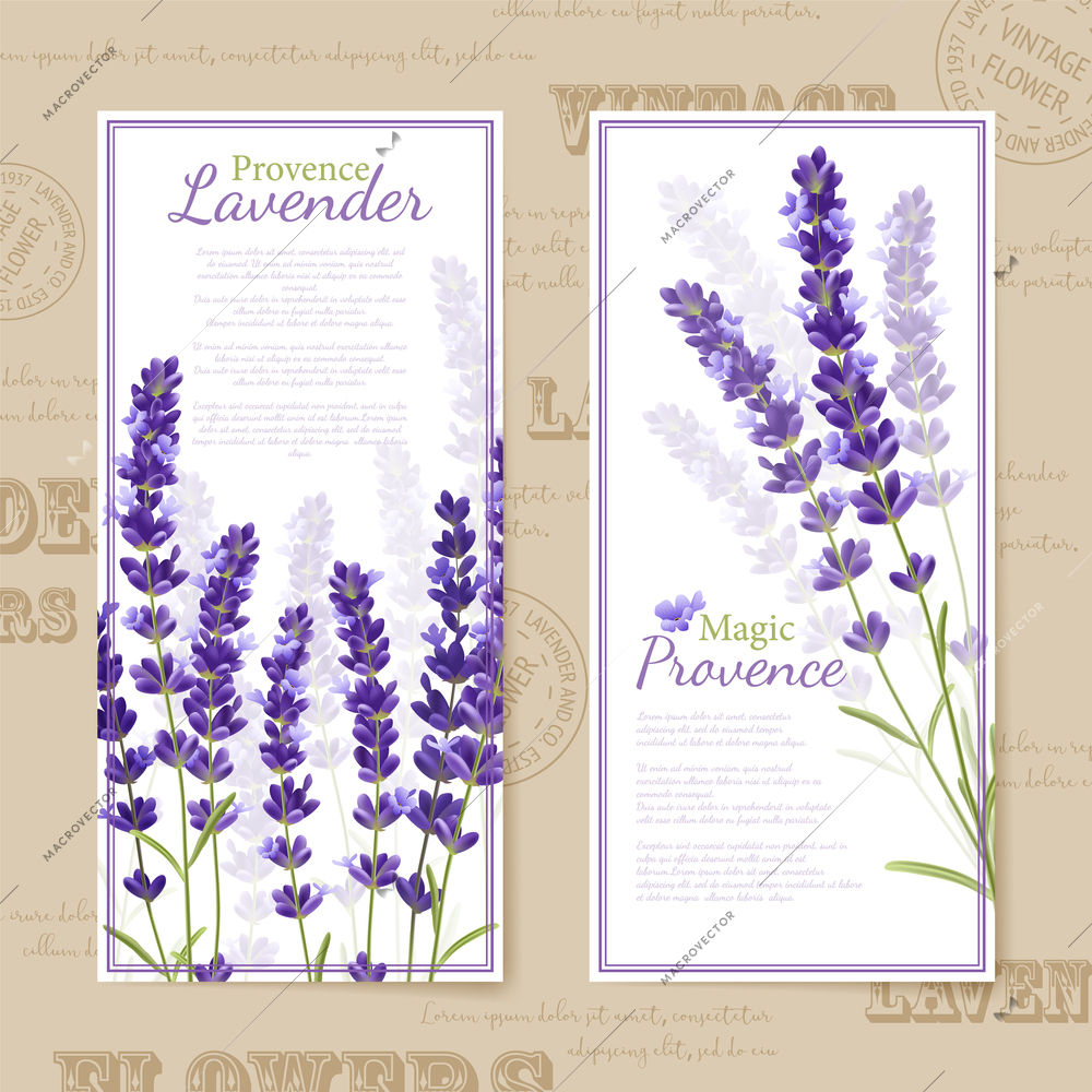 Vertical banners look like bookmarks or postcards with lavender  flowers title and violet frame vector illustration