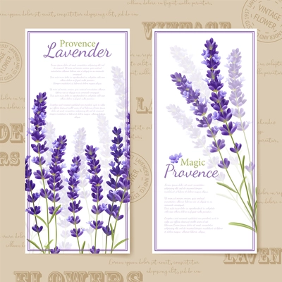 Vertical banners look like bookmarks or postcards with lavender  flowers title and violet frame vector illustration