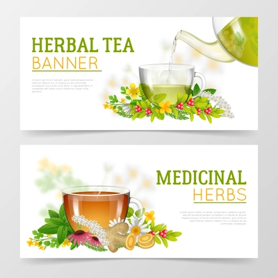 Two horizontal colorful banners of medicinal herbs and herbal tea in glass cups surrounded with herbs isolated vector illustration