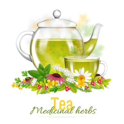 Glass teapot and teacup surrounded with medicinal herbs and flowers on white background with title isolated vector illustration