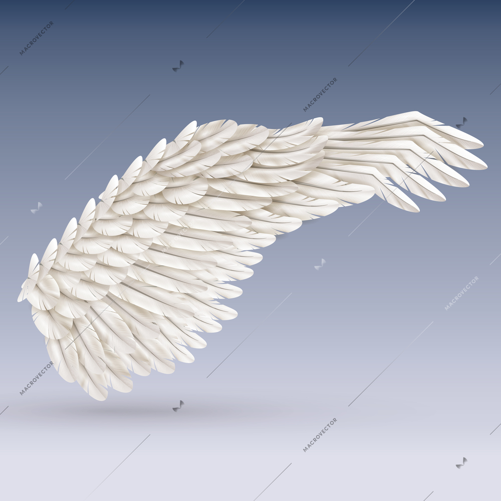 Single white big bird wing on blue background with shadow realistic vector illustration