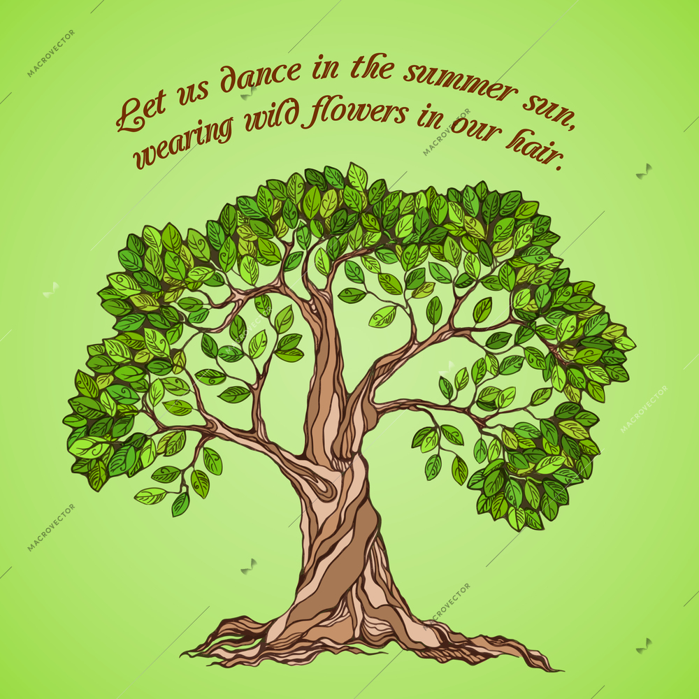 Summer tree with green leaves foliage poster vector illustration