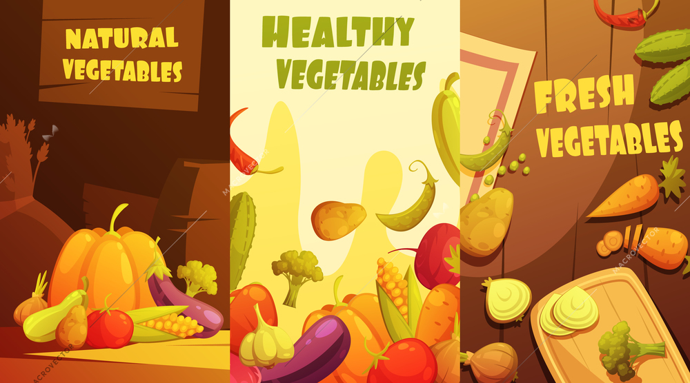 Fresh healthy organic farmers market vegetables vertical banners composition poster retro cartoon style isolated vector illustration