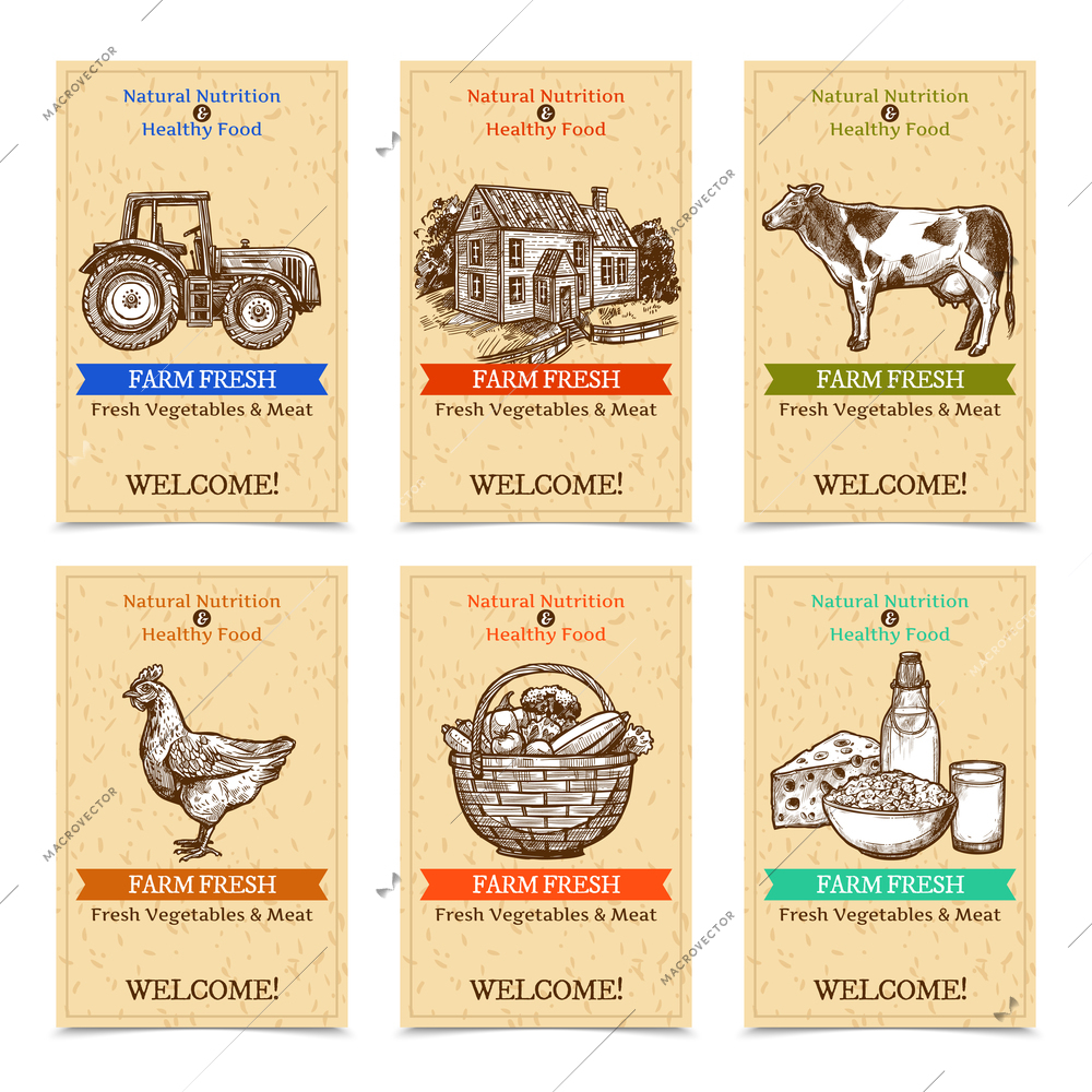 Six vertical farm tags welcome banners with healthy food farm animals tractor farmhouse with textural beige background sketch hand drawn isolated vector illustration