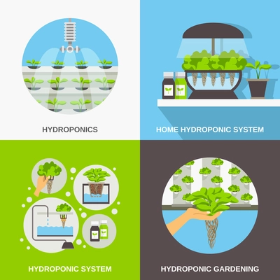 Color flat composition 2x2 depicting hydroponic system gardering vector illustration