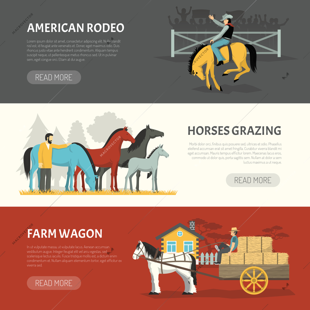 Information on horses breeds handling 3 horizontal banners webpage design with pasturing and grazing systems isolated vector illustration