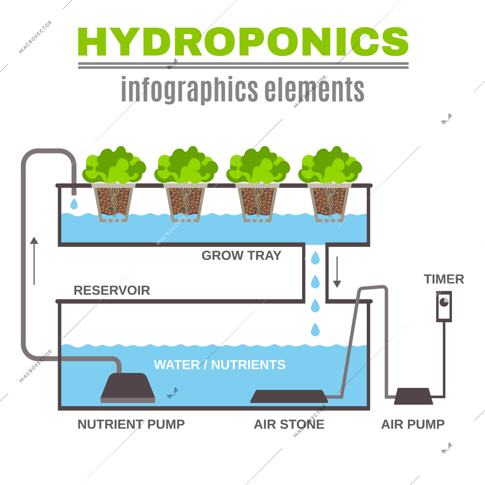 Color flat cncept depicting scheme and the principle of hydroponics vector illustration