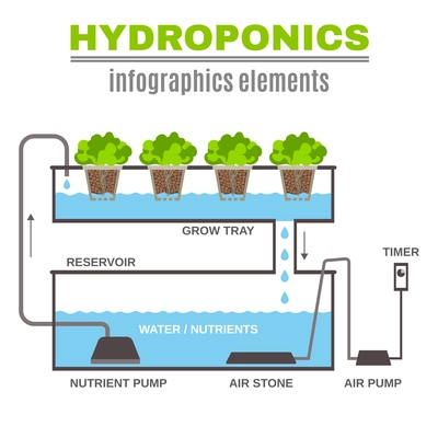 Color flat cncept depicting scheme and the principle of hydroponics vector illustration