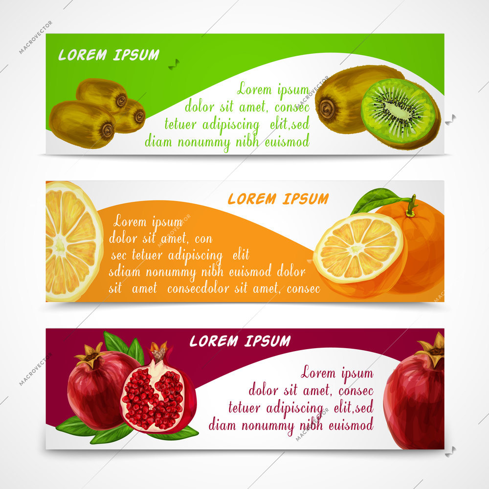 Natural organic tropical fruits banners set of cut and sliced orange pomegranate design template vector illustration