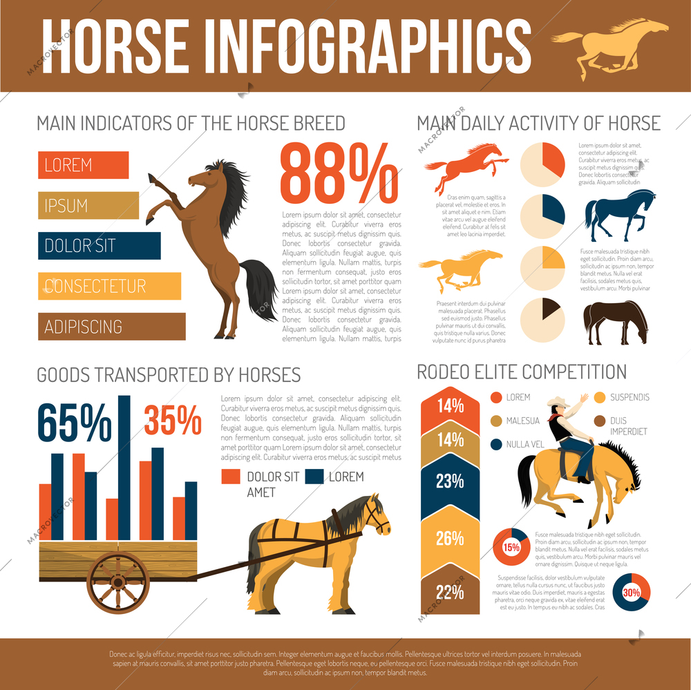 Popular horse breeds infographic poster with characteristics uses statistic charts and care information abstract flat vector illustration