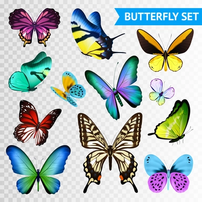 Small and big multicolored butterflies set isolated on transparent background flat vector illustration