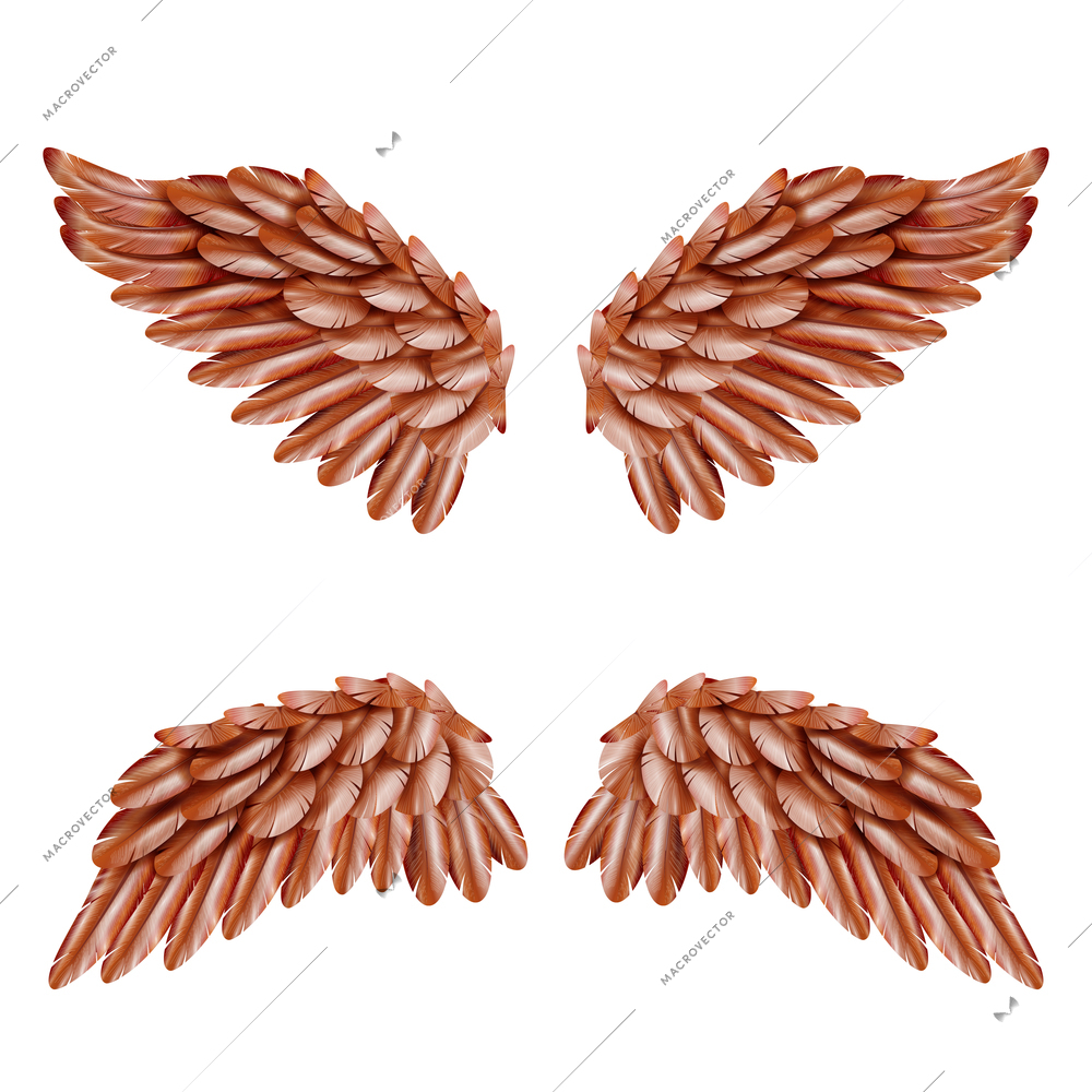 Two pairs of small brown bird wings set isolated on white background realistic vector illustration