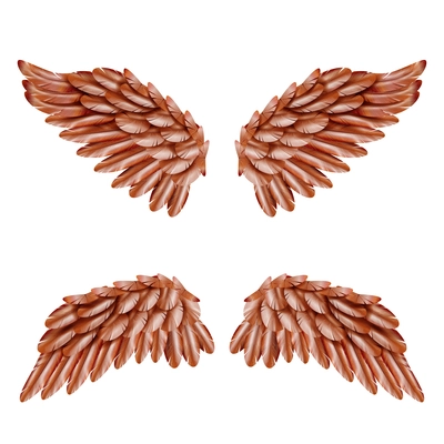 Two pairs of small brown bird wings set isolated on white background realistic vector illustration