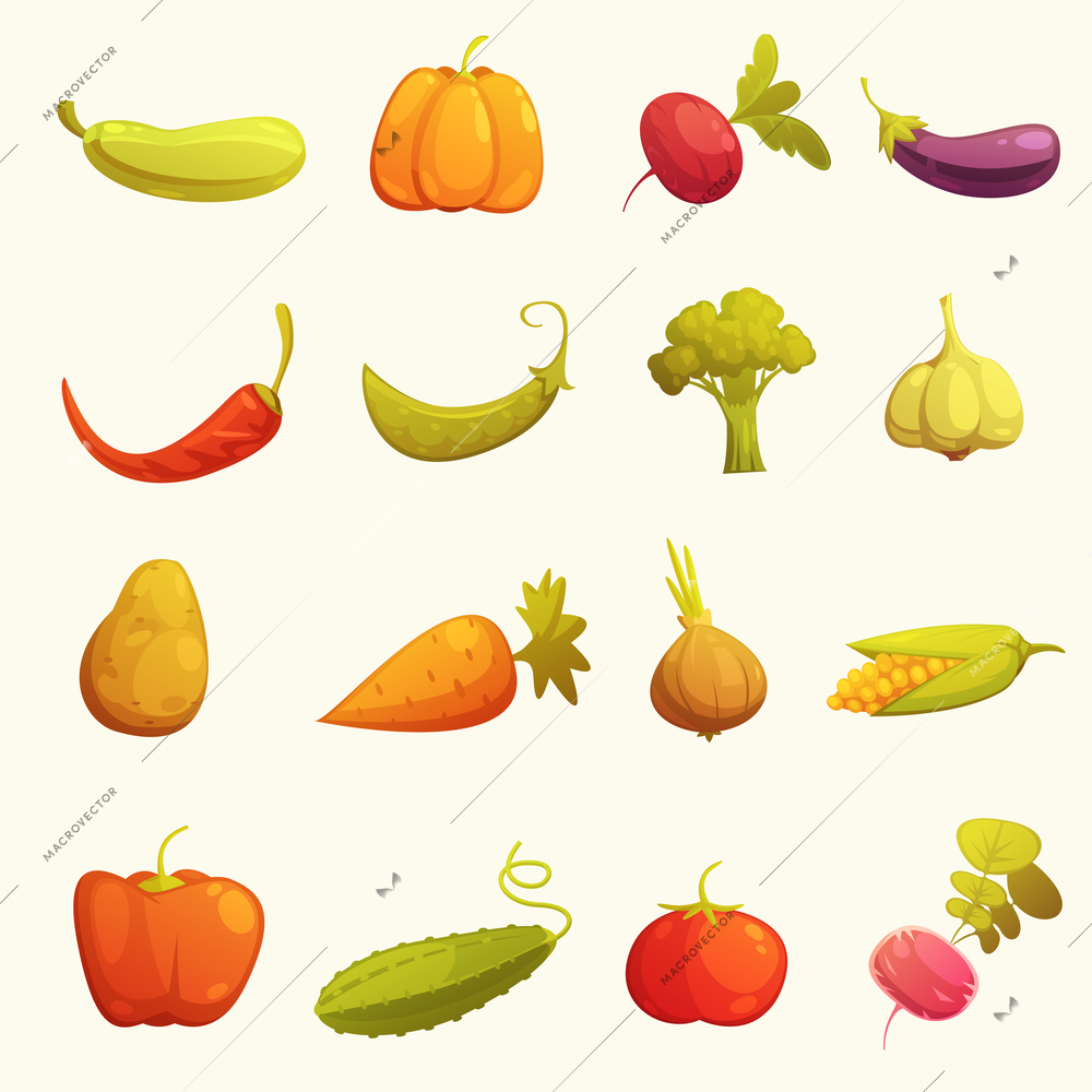 Ecological farming production classical vegetables icons set with cucumber carrot cucumber paprika tomato retro isolated vector illustration