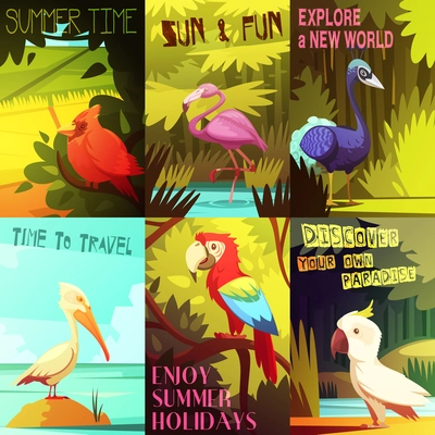 Exotic colorful birds 6 posters composition with cockatoo parrot  pelican and flamingo on beach resort vector illustration