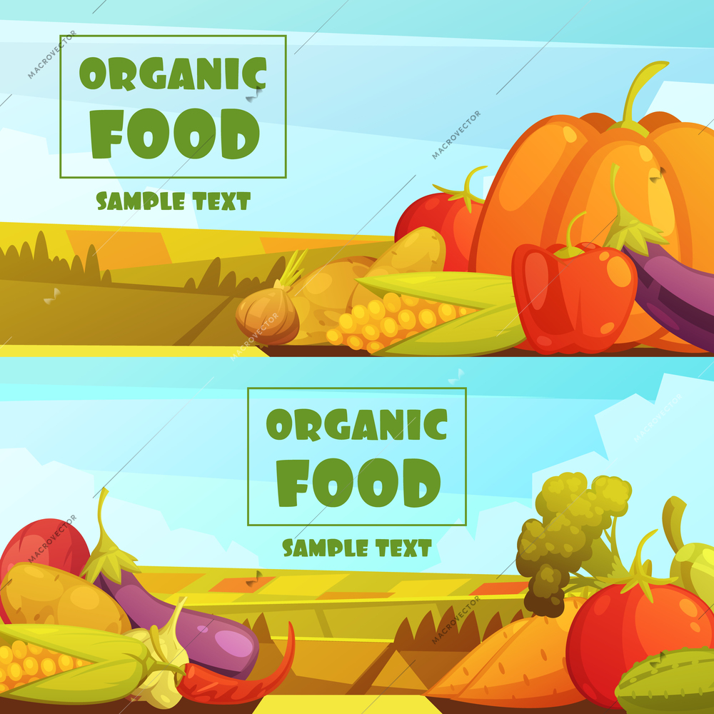 Organic grown farmer vegetables two horizontal retro countryside harvest banners with text sample abstract isolated vector illustration