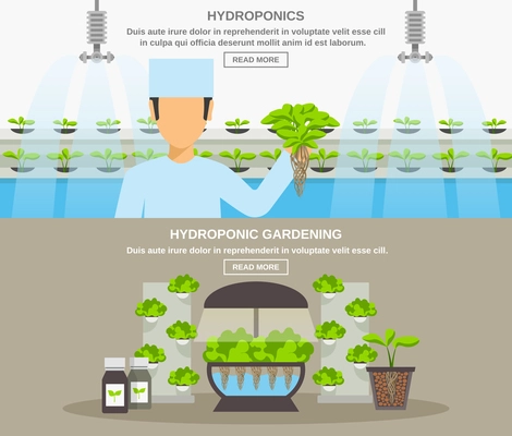 Color flat horizontal banner depicting hydroponic system gardening vector illustration