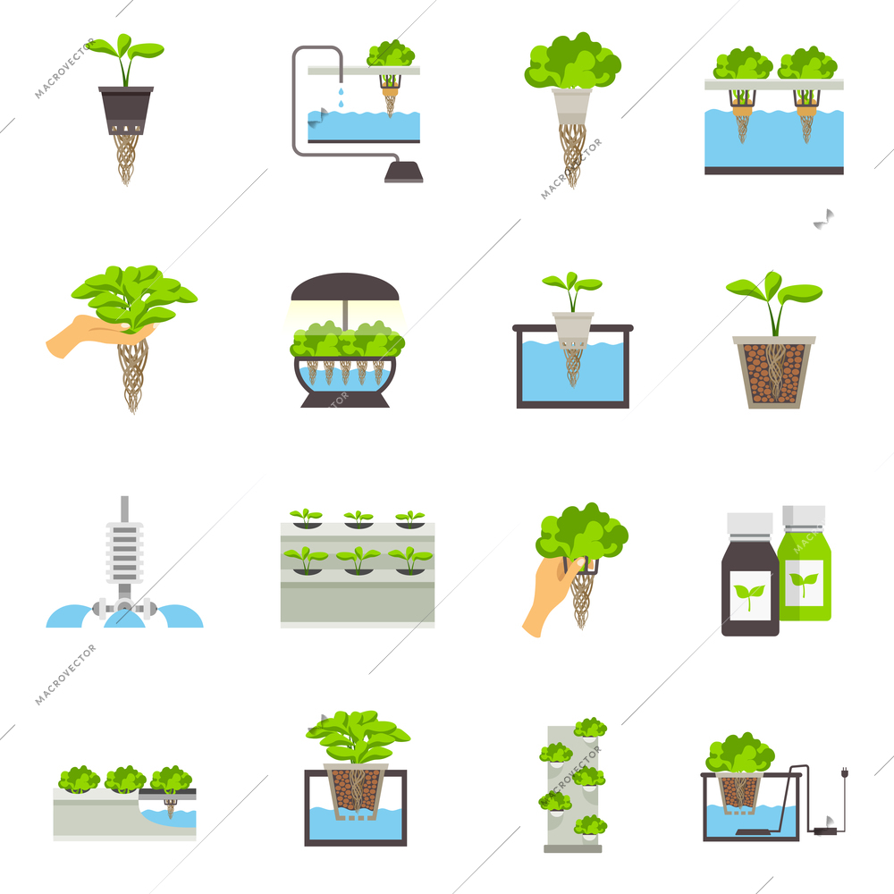 Set of color flat icons depicting elements of hydroponic system vector illustration