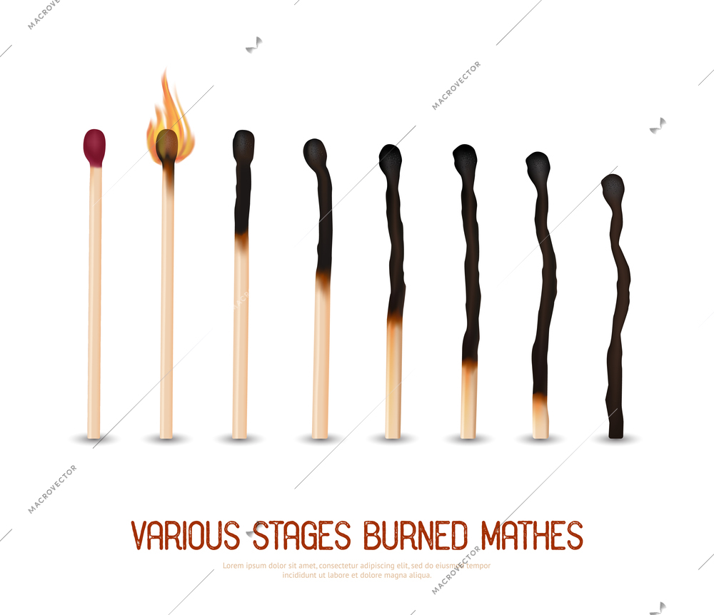 Various stages of matches burning from new to completely burned set isolated on white background realistic vector illustration
