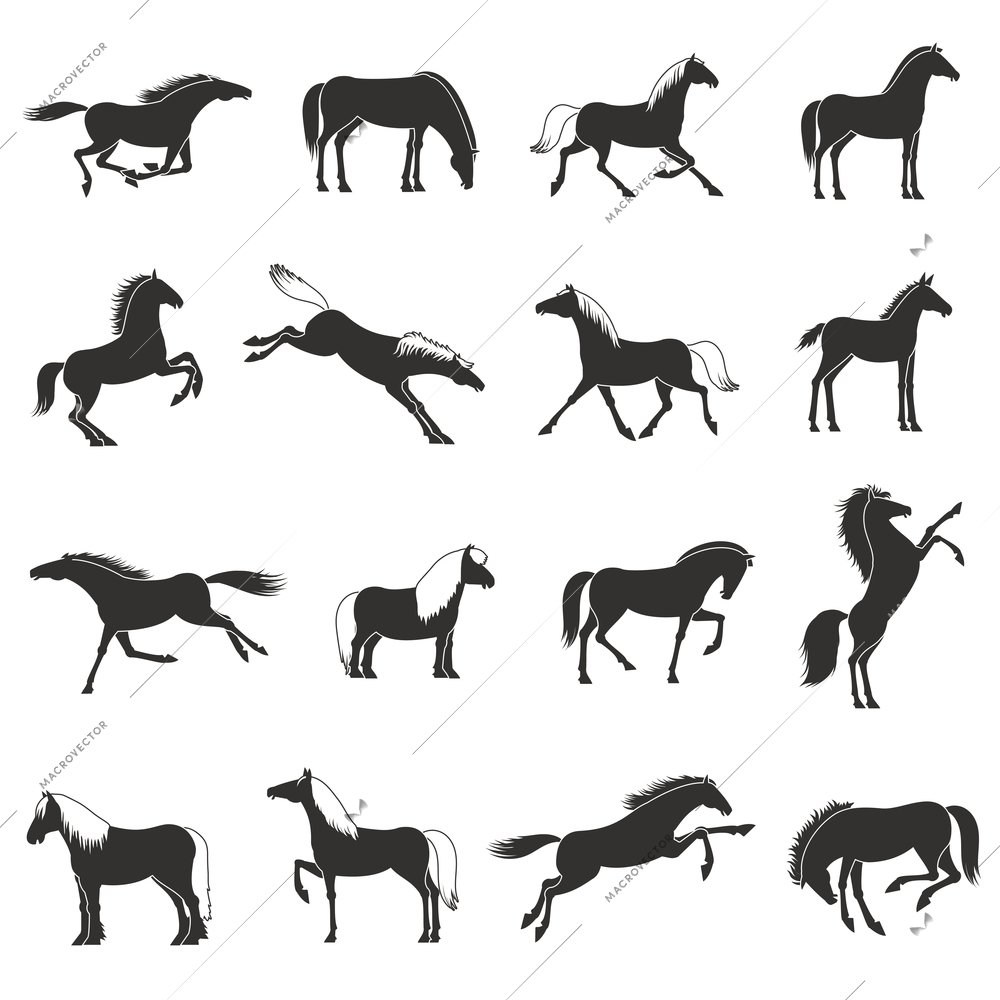 Black white best horses breeds silhouettes icons collection for work sport and recreation abstract isolated vector illustration