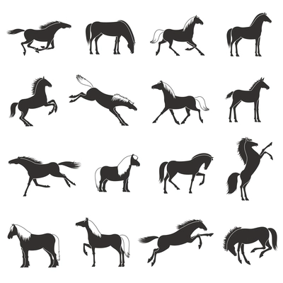 Black white best horses breeds silhouettes icons collection for work sport and recreation abstract isolated vector illustration