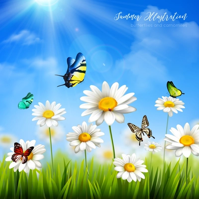 Beautiful colorful butterflies and green grass with camomile flowers background flat vector illustration