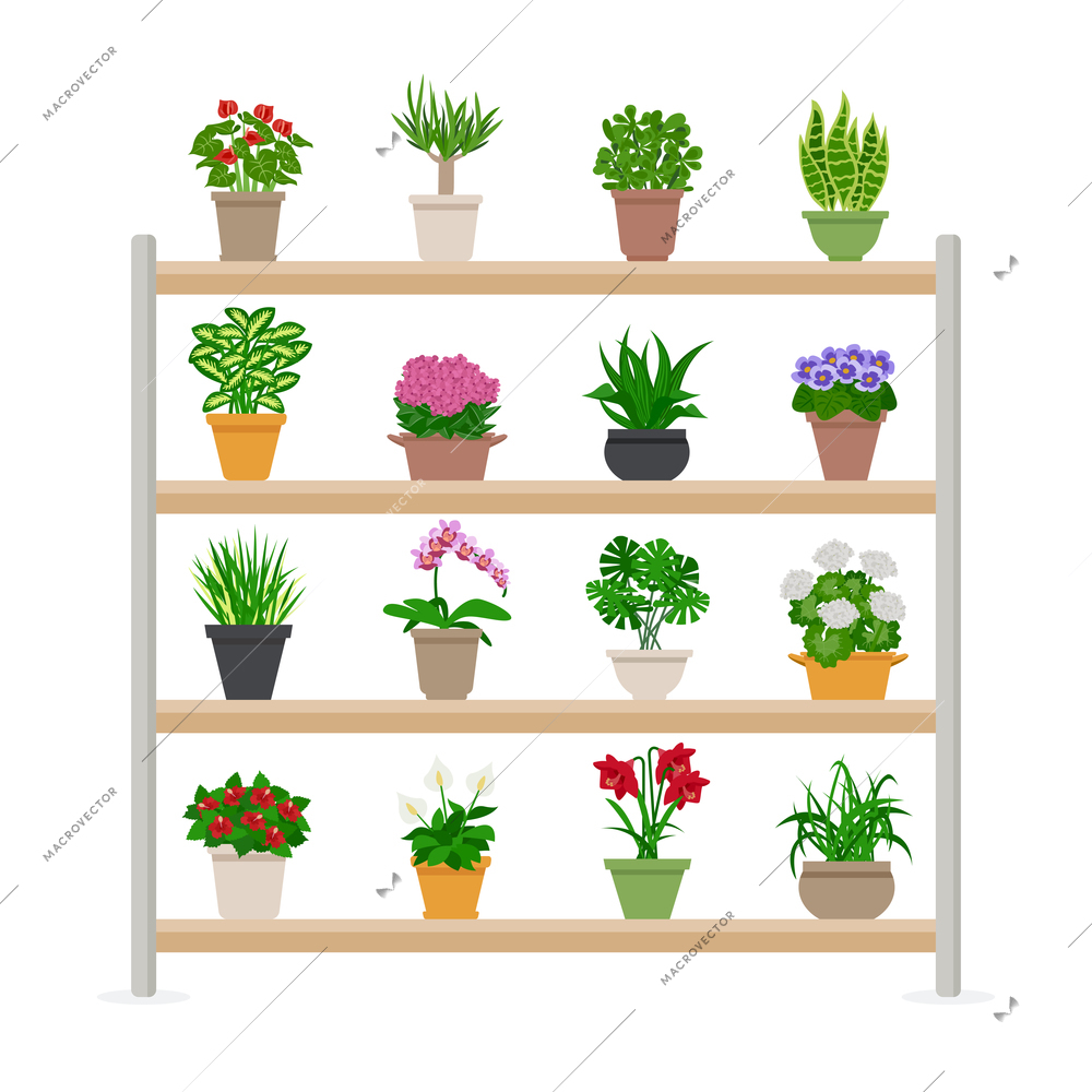 Houseplants and bright flowers in blossom on shelves composition flat vector illustration