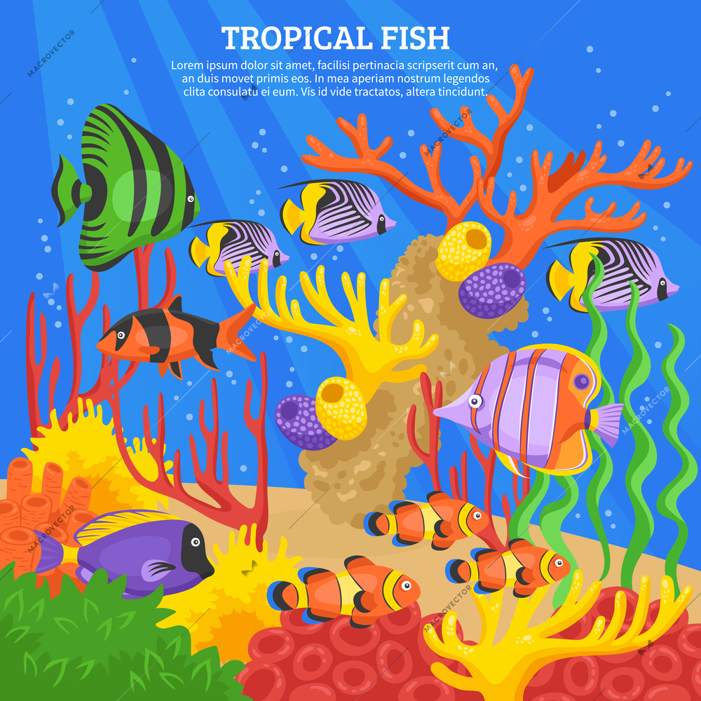 Tropical fish sea background with corals and water flat vector illustration