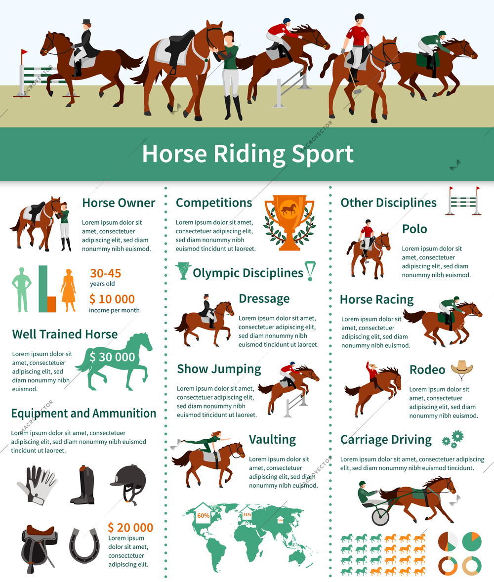 Horse rising infographics flat layout with rodeo carriage driving dressage vaulting advertising vector illustration