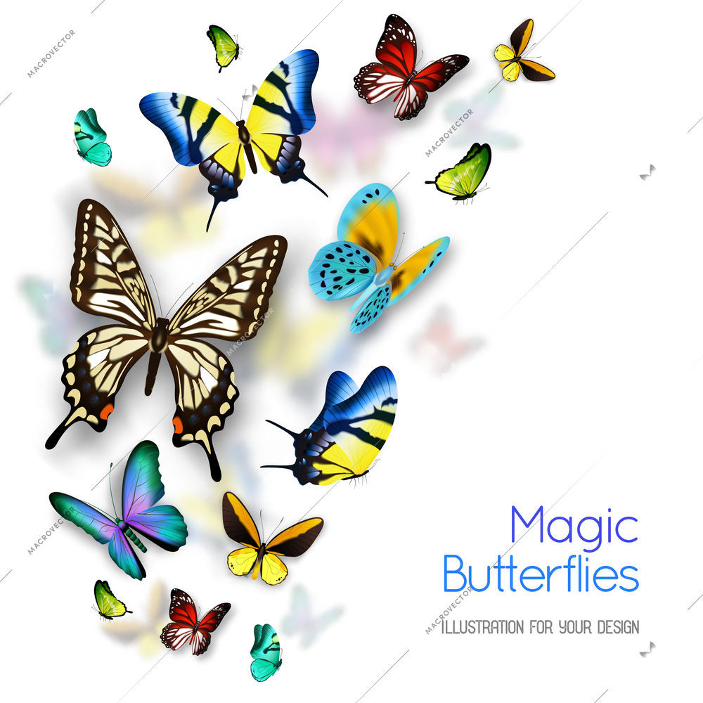 Small and big colorful magic butterflies isolated on white background with shadows flat vector illustration