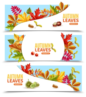 Horizontal flat banners with autumn leaves chestnuts berries and acorns isolated on white background vector illustration